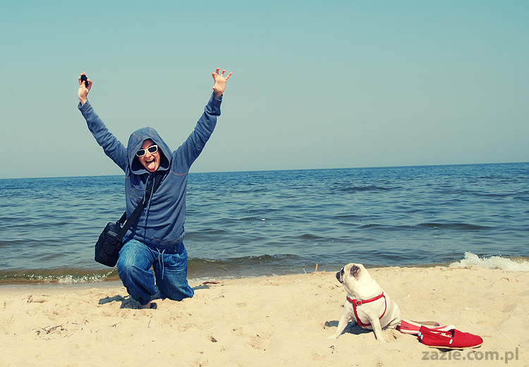 Kumok i Miszur mopsy mopsiki pugs nad morzem