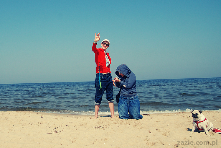 Kumok i Miszur mopsy mopsiki pugs nad morzem