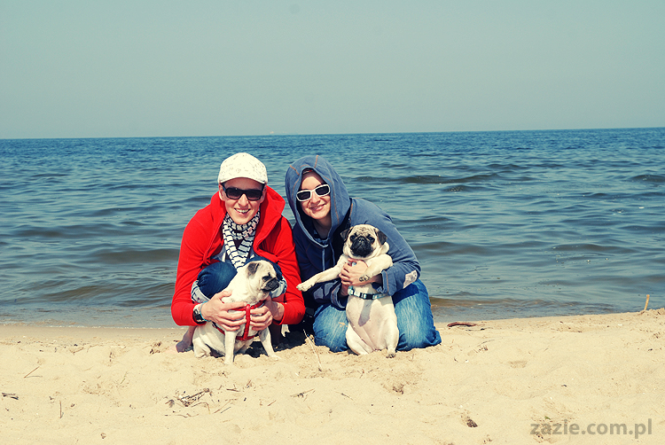 Kumok i Miszur mopsy mopsiki pugs nad morzem