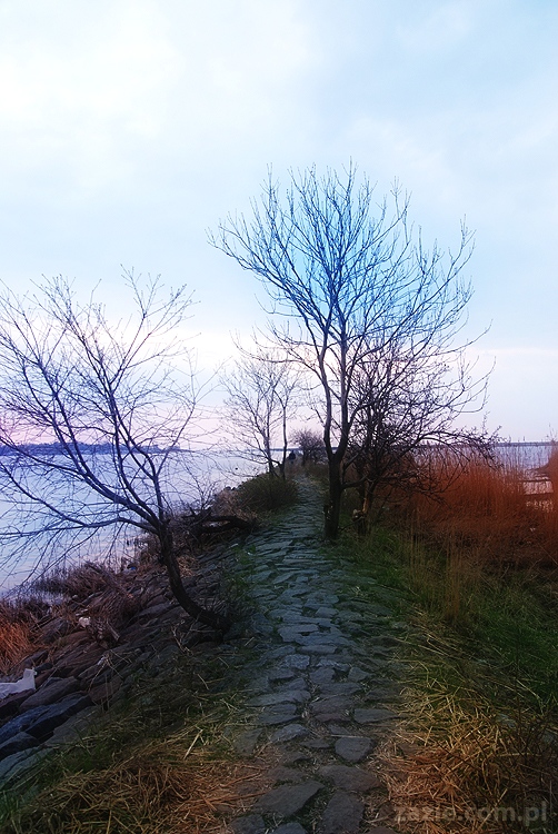 mopsy pugs Kumok i Miszur nad morzem