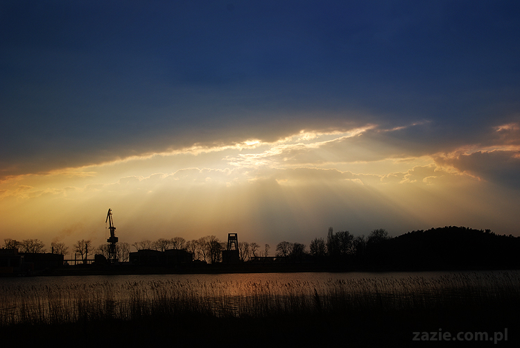 mopsy pugs Kumok i Miszur nad morzem