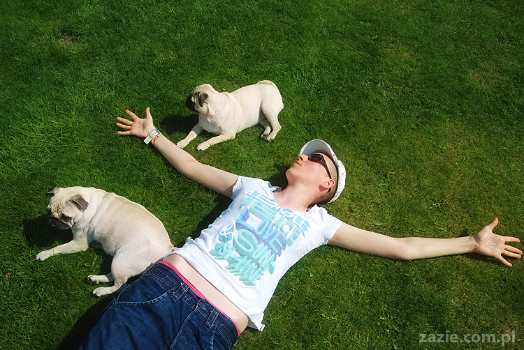 mopsy pugs Kumok i Miszur na trawie