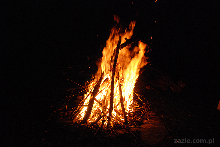 mopsy pugs Kumok i Miszur i ognisko