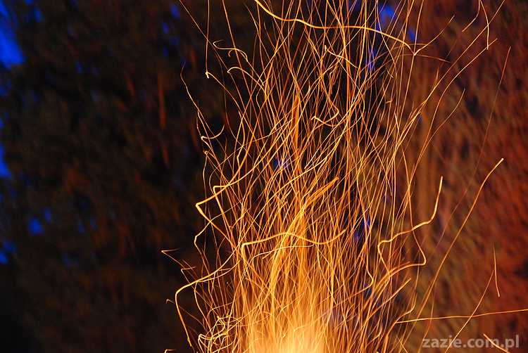 mopsy pugs Kumok i Miszur i ognisko