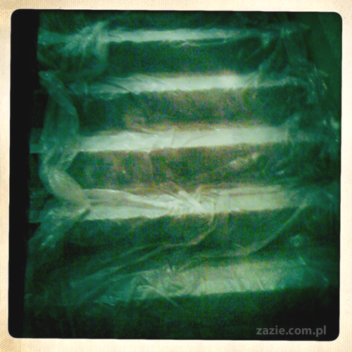 dziewczyny z Tarchomina