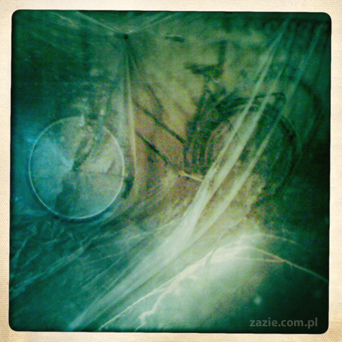 dziewczyny z Tarchomina