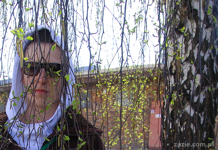 wiosna w warszawie spring is in the air!