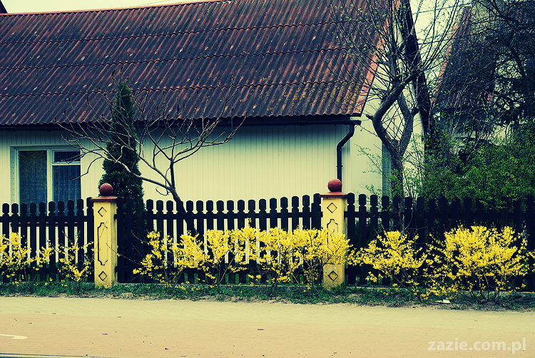 Gdańsk Sobieszewo Wyspa Sobieszewska kwatery nad morzem nad noclegi nad Bałtykiem