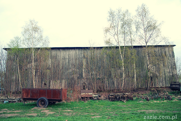 Gdańsk Sobieszewo Wyspa Sobieszewska kwatery nad morzem nad noclegi nad Bałtykiem