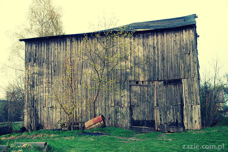 Gdańsk Sobieszewo Wyspa Sobieszewska kwatery nad morzem nad noclegi nad Bałtykiem