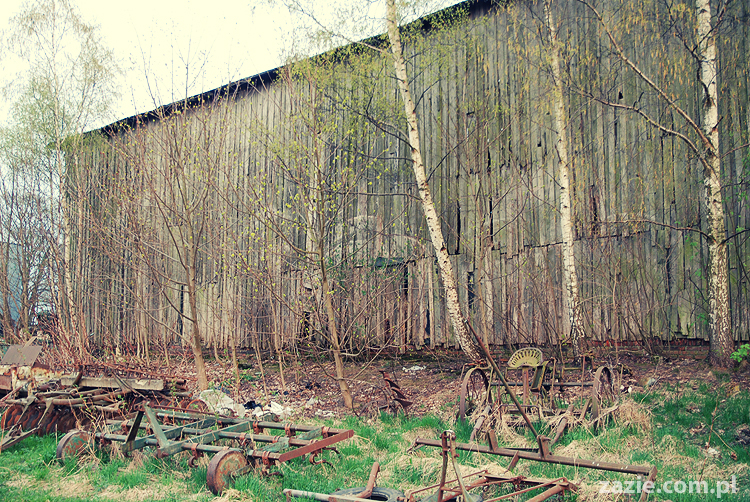 Gdańsk Sobieszewo Wyspa Sobieszewska kwatery nad morzem nad noclegi nad Bałtykiem