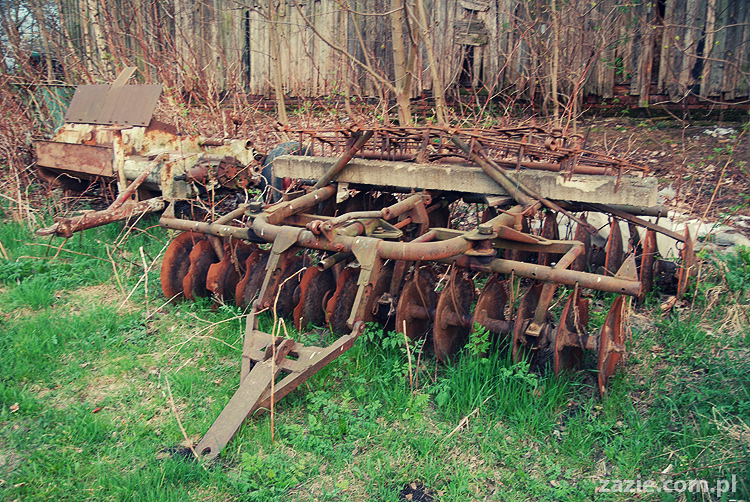 Gdańsk Sobieszewo Wyspa Sobieszewska kwatery nad morzem nad noclegi nad Bałtykiem