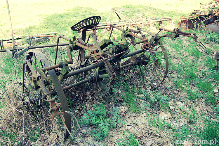Gdańsk Sobieszewo Wyspa Sobieszewska kwatery nad morzem nad noclegi nad Bałtykiem
