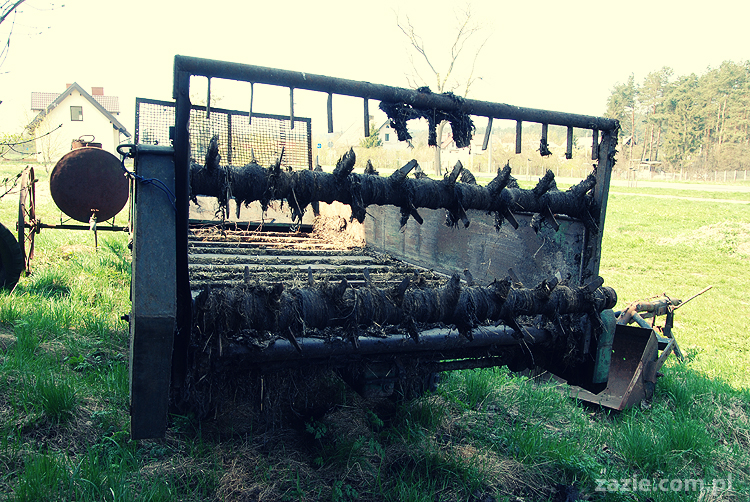 Gdańsk Sobieszewo Wyspa Sobieszewska kwatery nad morzem nad noclegi nad Bałtykiem