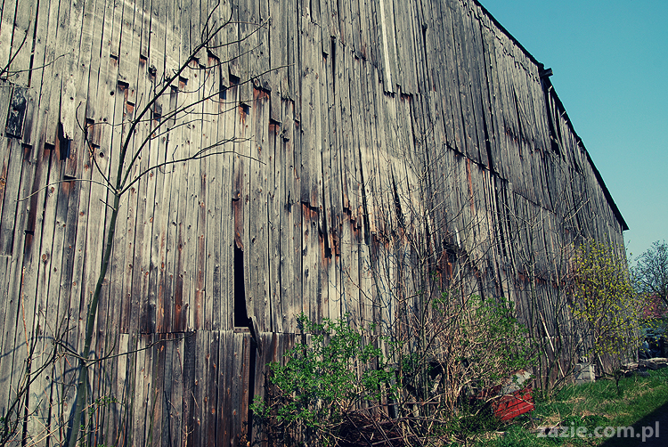 Gdańsk Sobieszewo Wyspa Sobieszewska kwatery nad morzem nad noclegi nad Bałtykiem