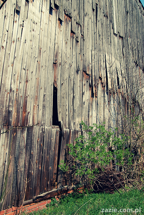 Gdańsk Sobieszewo Wyspa Sobieszewska kwatery nad morzem nad noclegi nad Bałtykiem