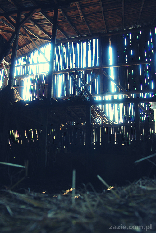 Gdańsk Sobieszewo Wyspa Sobieszewska kwatery nad morzem nad noclegi nad Bałtykiem