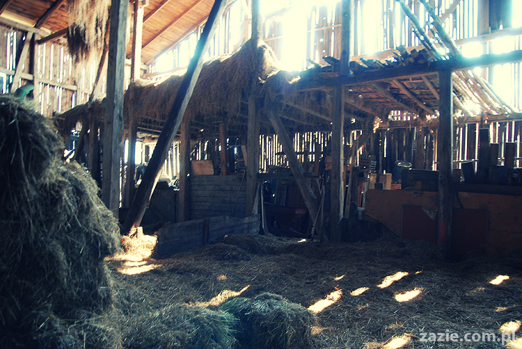 Gdańsk Sobieszewo Wyspa Sobieszewska kwatery nad morzem nad noclegi nad Bałtykiem