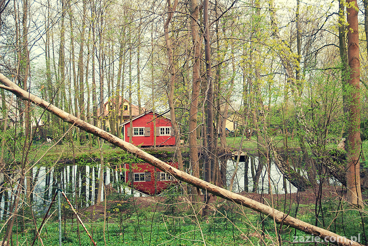 Gdańsk Sobieszewo Wyspa Sobieszewska kwatery nad morzem nad noclegi nad Bałtykiem