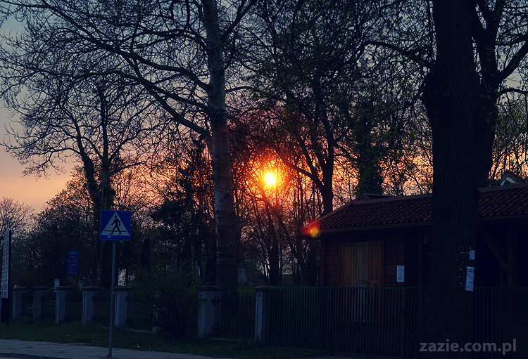 Gdańsk Sobieszewo Wyspa Sobieszewska kwatery nad morzem nad noclegi nad Bałtykiem