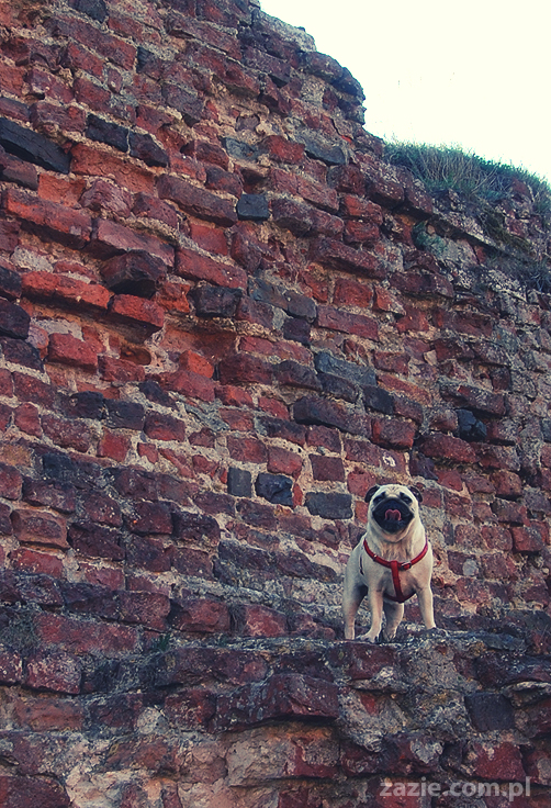 Gdańsk Sobieszewo Wyspa Sobieszewska kwatery nad morzem nad noclegi nad Bałtykiem