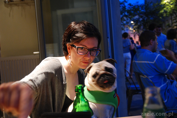 humuseria humus hummus beirut music bar na poznańskiej