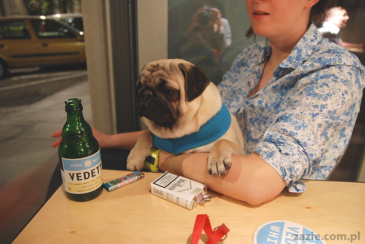 humuseria humus hummus beirut music bar na poznańskiej