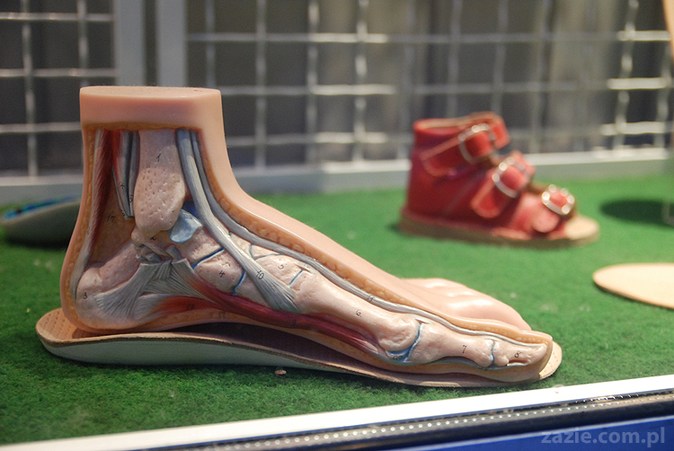 humuseria humus hummus beirut music bar na poznańskiej