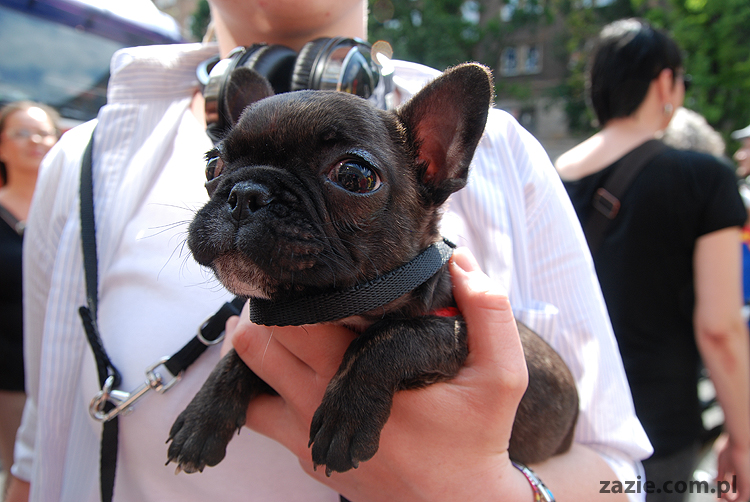 Parada Równości 2011 Warszawa LGBT Gay Pride Warsaw