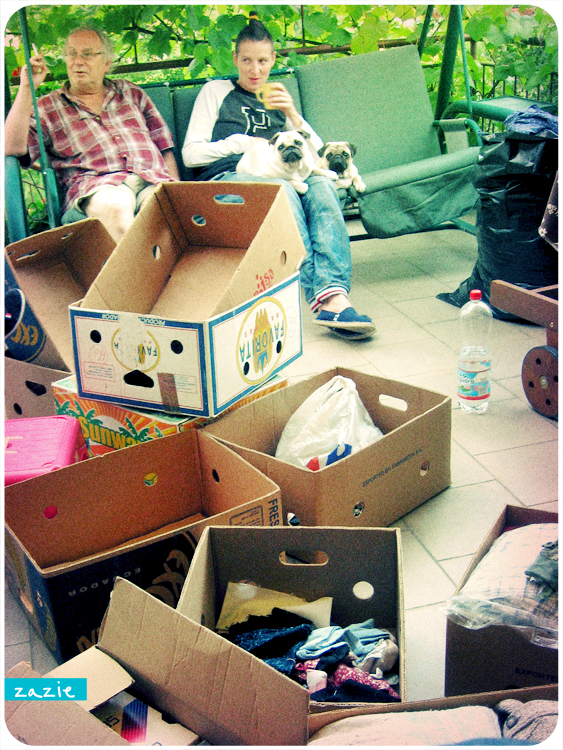 mopsy Kumok i Miszur mopsikowa niedziela