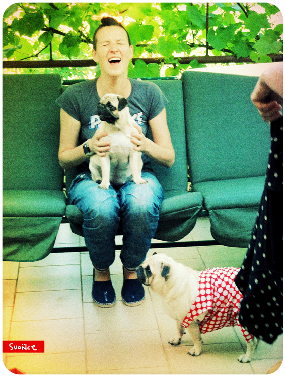 mopsy Kumok i Miszur mopsikowa niedziela