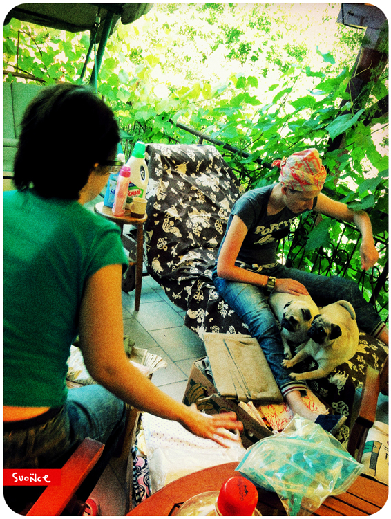 mopsy Kumok i Miszur mopsikowa niedziela