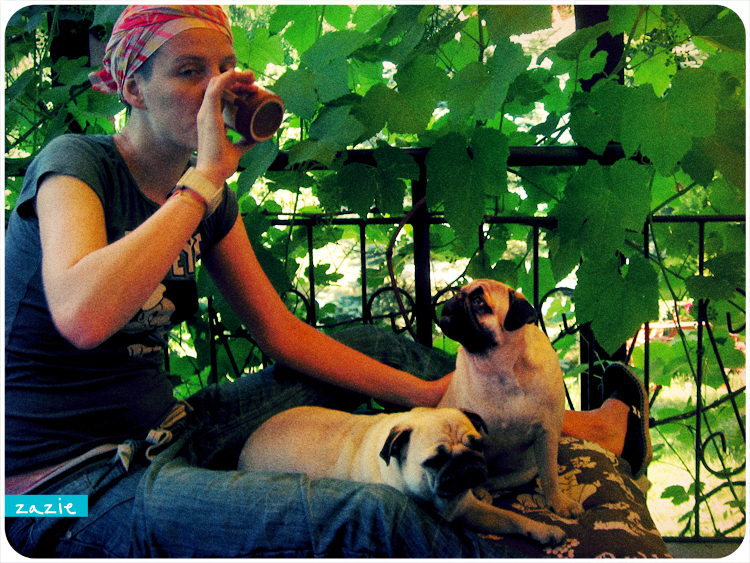 mopsy Kumok i Miszur mopsikowa niedziela