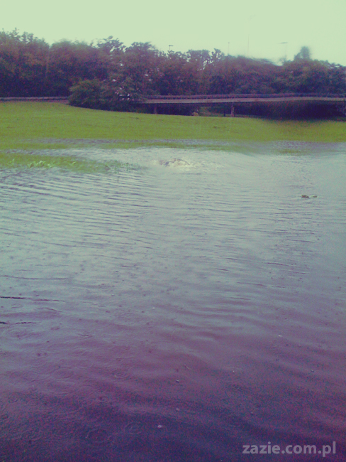 jezioro na Marymoncie