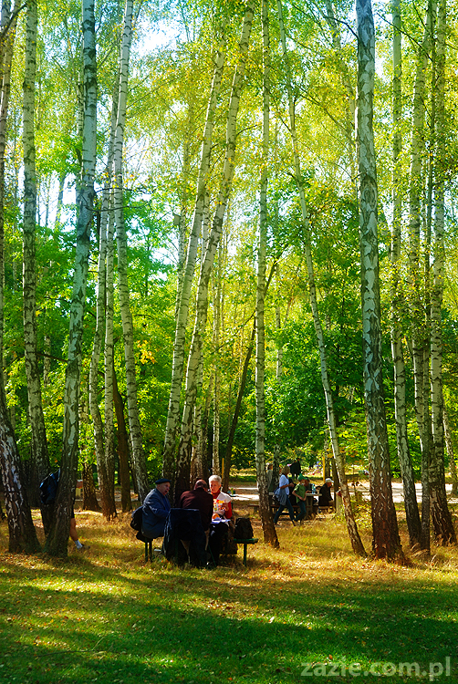 Grzybobranie 2011 Fundacja Form i Kształtów