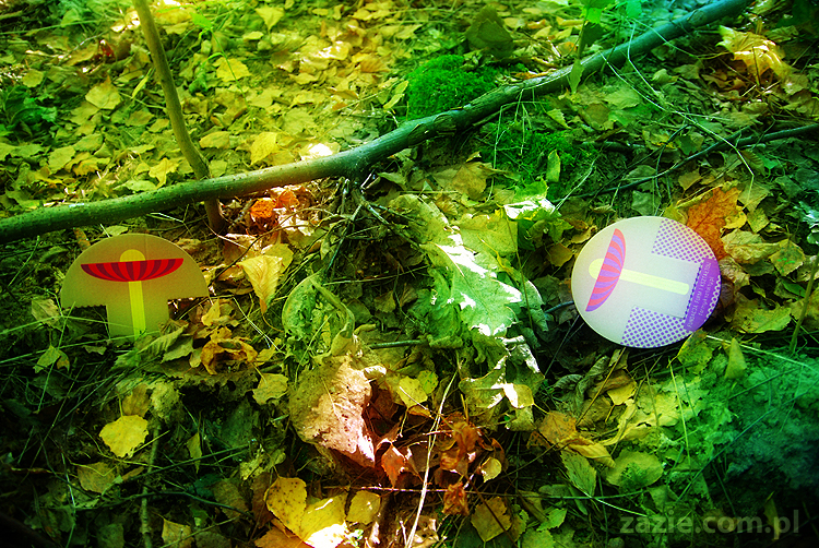 Grzybobranie 2011 Fundacja Form i Kształtów