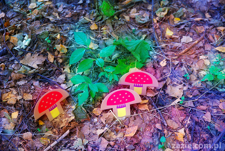 Grzybobranie 2011 Fundacja Form i Kształtów