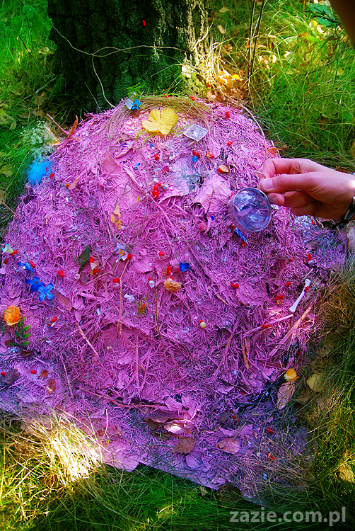 Grzybobranie 2011 Fundacja Form i Kształtów