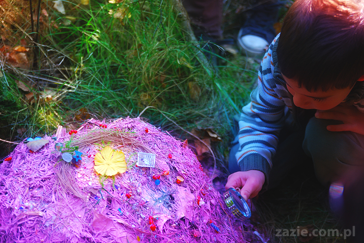 Grzybobranie 2011 Fundacja Form i Kształtów