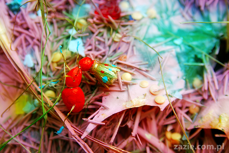 Grzybobranie 2011 Fundacja Form i Kształtów