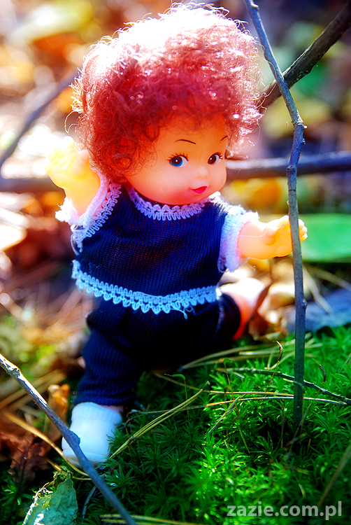 Grzybobranie 2011 Fundacja Form i Kształtów