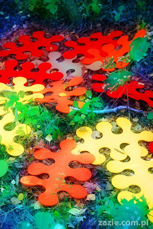 Grzybobranie 2011 Fundacja Form i Kształtów