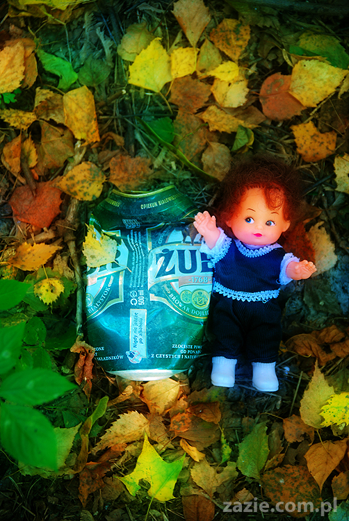 Grzybobranie 2011 Fundacja Form i Kształtów