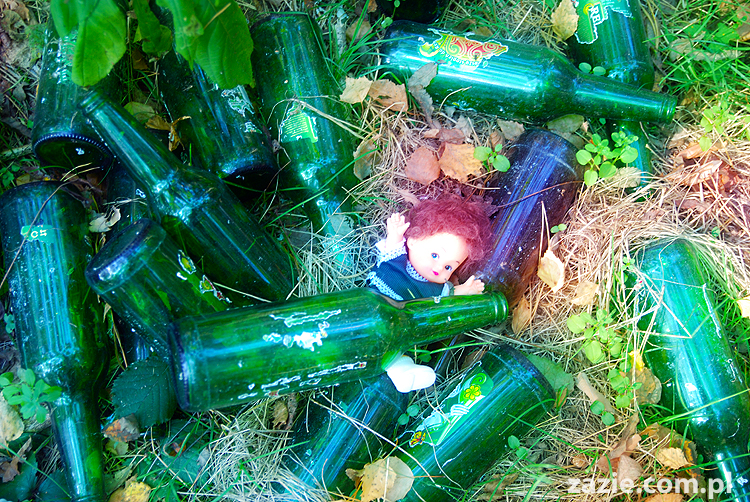 Grzybobranie 2011 Fundacja Form i Kształtów