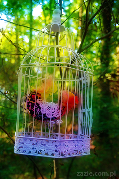 Grzybobranie 2011 Fundacja Form i Kształtów