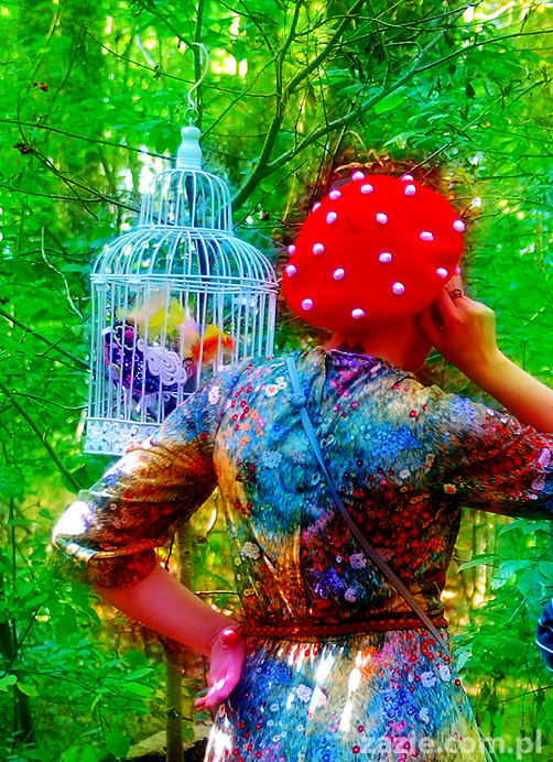 Grzybobranie 2011 Fundacja Form i Kształtów