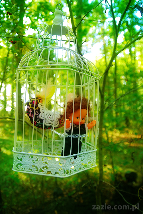 Grzybobranie 2011 Fundacja Form i Kształtów