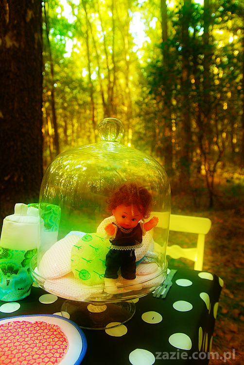 Grzybobranie 2011 Fundacja Form i Kształtów