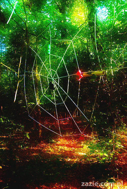 Grzybobranie 2011 Fundacja Form i Kształtów