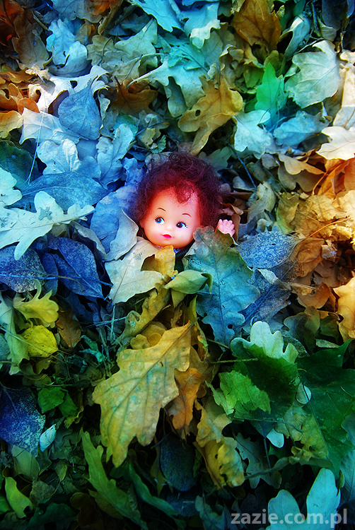 Grzybobranie 2011 Fundacja Form i Kształtów